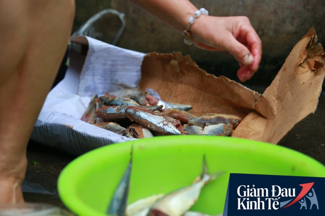 Nỗi niềm của những người lao động nghèo chơi vơi giữa Hà Nội vì đại dịch Covid-19: Sống nhờ gạo cứu trợ, cá ươn đi xin - Ảnh 6.
