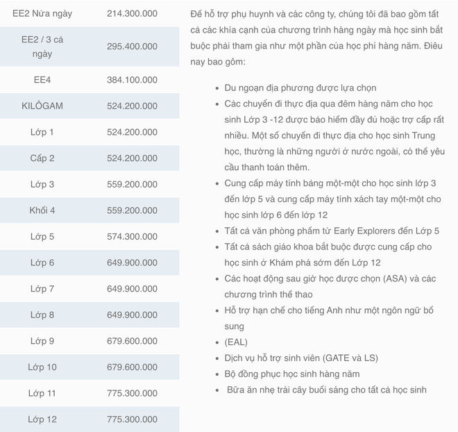 Shock với mức học phí của các trường Quốc tế tại TP.HCM, có nơi lên đến gần 800 triệu/năm - Ảnh 4.
