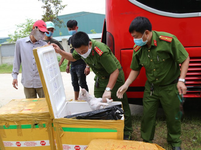 Xe giường nằm chở 2,4 tấn thịt chó, mèo và nội tạng động vật bốc mùi - Ảnh 1.