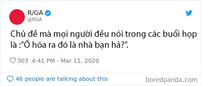 Những chuyện giời ơi đất hỡi của cư dân mạng thế giới khi làm việc online tại nhà trong mùa dịch COVID-19 - Ảnh 3.