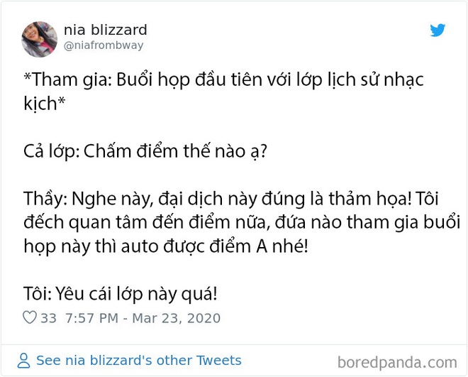 Những chuyện giời ơi đất hỡi của cư dân mạng thế giới khi làm việc online tại nhà trong mùa dịch COVID-19 - Ảnh 11.