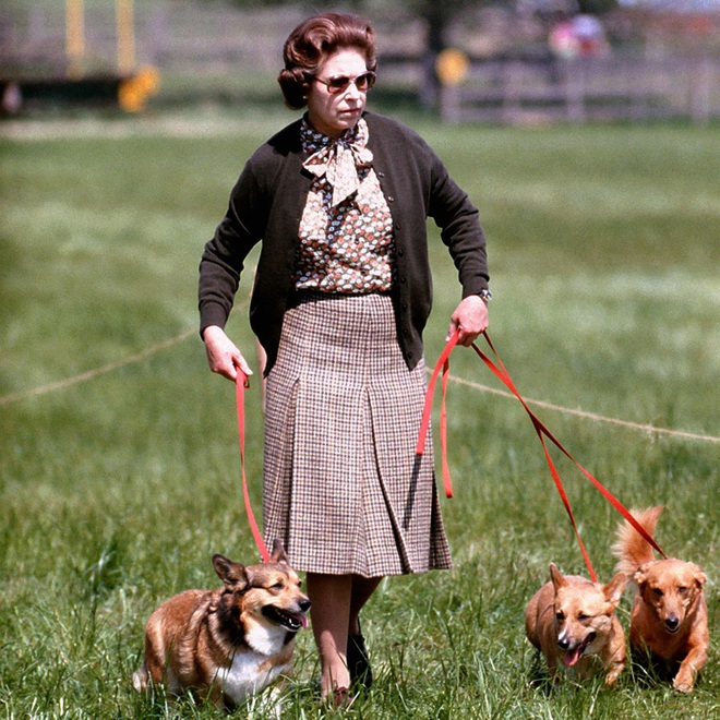 Cuộc đời Nữ ho&agrave;ng Elizabeth II qua ảnh: Vị nữ vương ngồi tr&ecirc;n ngai v&agrave;ng l&acirc;u nhất trong lịch sử c&aacute;c vương triều của nước Anh - Ảnh 15.