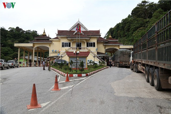 Th&ocirc;ng tin về việc 56 c&ocirc;ng d&acirc;n Việt Nam ở L&agrave;o được xuất cảnh về nước - Ảnh 1.