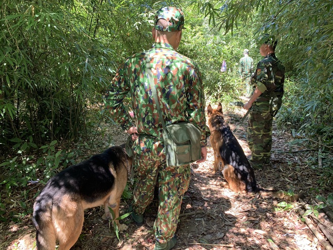 Ảnh: 20 giờ tr&egrave;o đ&egrave;o, lội suối t&igrave;m kiếm 2 c&ocirc; g&aacute;i bị lạc trong rừng s&acirc;u - Ảnh 1.