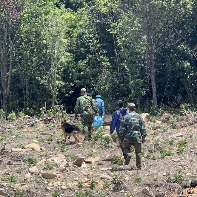 Ảnh: 20 giờ tr&egrave;o đ&egrave;o, lội suối t&igrave;m kiếm 2 c&ocirc; g&aacute;i bị lạc trong rừng s&acirc;u - Ảnh 2.