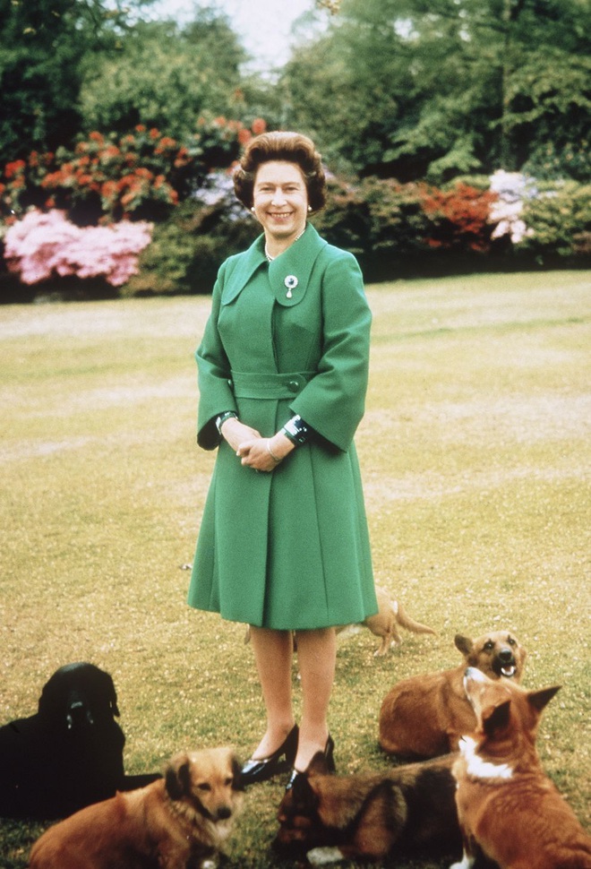 Bí mật váy áo của Nữ hoàng Anh suốt 100 năm vừa mới được tiết lộ: Không phải các nguyên tắc mà ở chi tiết nhỏ xíu 1 bên vai - Ảnh 4.
