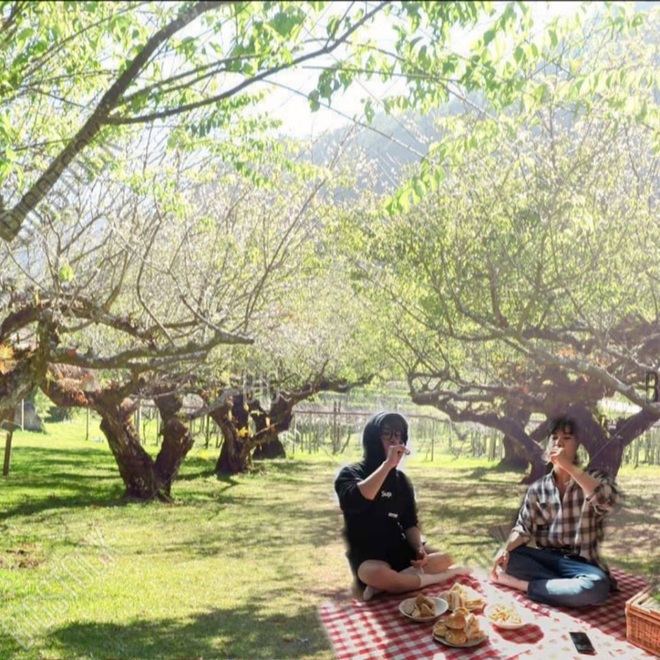 Hai nam idol nhà SM tự tổ chức picnic tại nhà vì dịch không được ra ngoài, fan “động lòng” giúp cho đi khắp thế gian luôn! - Ảnh 6.
