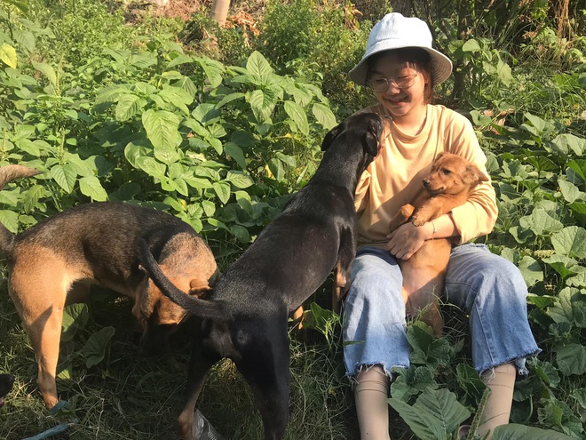 Cô nhân viên văn phòng nuôi đàn chó ta 9 con: Ai cũng bảo chó cỏ không đẹp không được cưng, thì tui cưng!” - Ảnh 5.