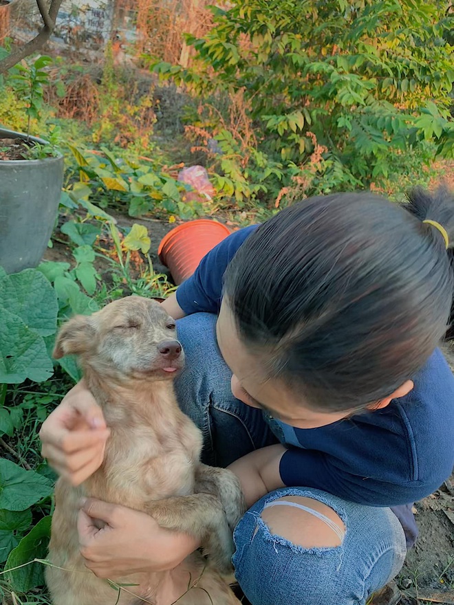 Cô nhân viên văn phòng nuôi đàn chó ta 9 con: "Ai cũng bảo chó cỏ không đẹp không được cưng, thì tui cưng!” - Ảnh 3.