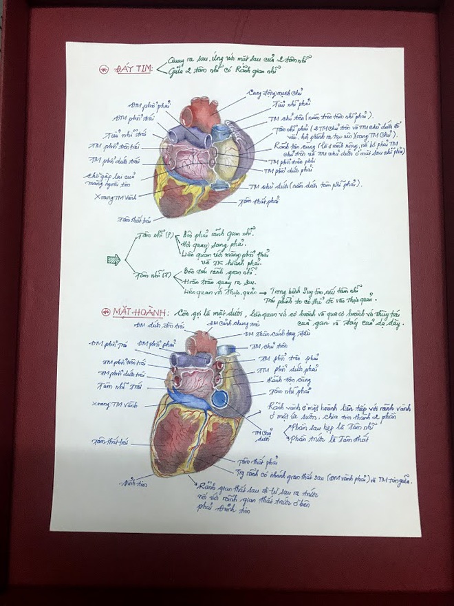 Học m&#244;n Giải phẫu, nam sinh ng&#224;nh Y vẽ bộ phận cơ thể người giống thật đến 99% khiến ai nh&#236;n cũng sởn gai ốc - Ảnh 1.