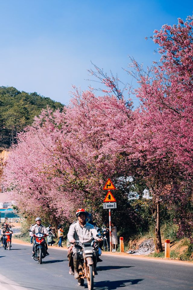 12 tháng đi hết Việt Nam: Bản đồ du lịch hoàn hảo dành cho những ai &amp;quot;ngứa chân&amp;quot; lắm rồi nhưng chưa biết đi đâu! - Ảnh 2.