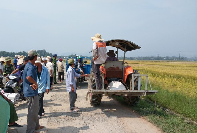 Kỳ lạ chuyện ở Huế, lúa chín rục không được thu hoạch do độc quyền máy gặt? - Ảnh 1.