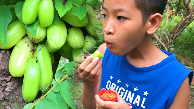 Có tới 90% trong số chúng ta không biết tên loại quả “chua vô địch” này, cô gái đăng ảnh chấm muối ăn sống mà ai nhìn cũng… ứa nước miếng - Ảnh 3.