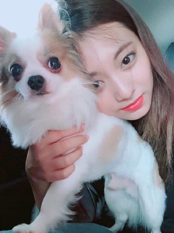 Nhan sắc ít phấn son của Tzuyu (Twice) gây tranh cãi: Lúc bị chê thậm tệ, lúc lại đẹp như thiên thần - Ảnh 7.