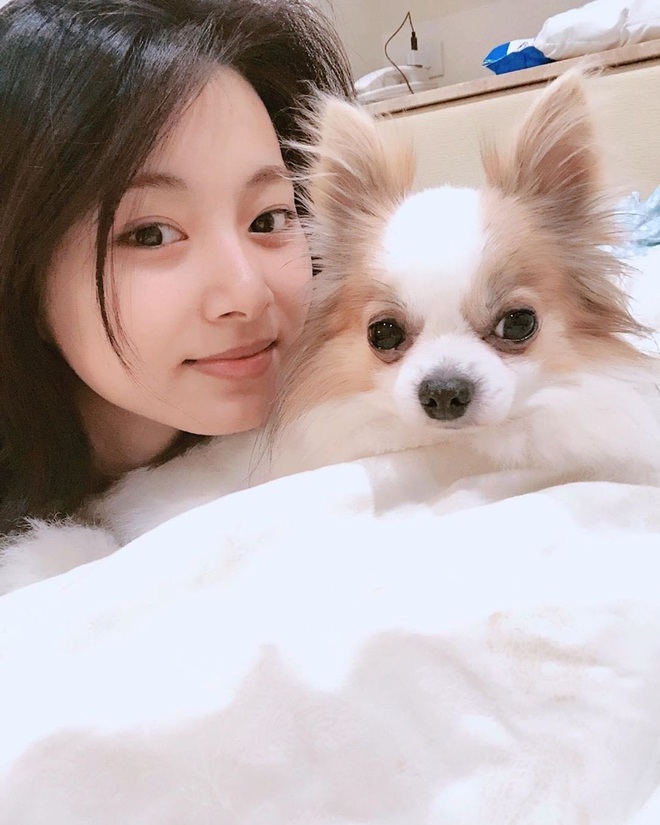 Nhan sắc ít phấn son của Tzuyu (Twice) gây tranh cãi: Lúc bị chê thậm tệ, lúc lại đẹp như thiên thần - Ảnh 9.