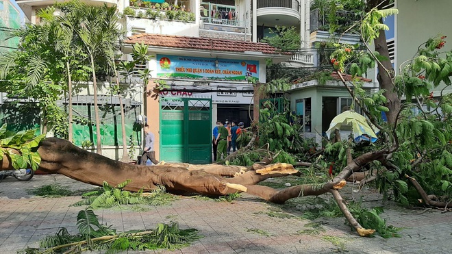 Bộ trưởng chia buồn với gia đình học sinh bị vụ tai nạn đổ cây tại trường THCS Bạch Đằng - Ảnh 1.