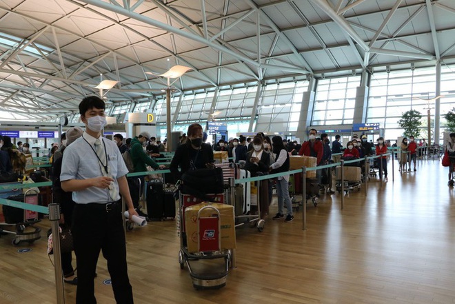 Đưa 340 c&ocirc;ng d&acirc;n Việt Nam từ H&agrave;n Quốc về nước an to&agrave;n - Ảnh 1.