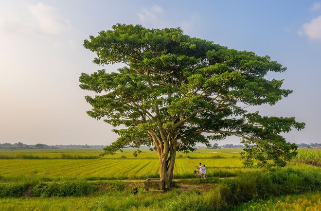 Đi du lịch Huế nhiều nhưng chắc chắn bạn chưa thể kh&#225;m ph&#225; hết c&#225;c địa điểm mới lạ v&#224; hay ho n&#224;y - Ảnh 10.