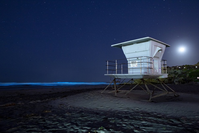 Một thế giới vắng bóng con người sẽ ra sao, bộ ảnh đẹp đến nghẹt thở ghi lại giữa thời đại virus sẽ cho bạn câu trả lời! - Ảnh 16.