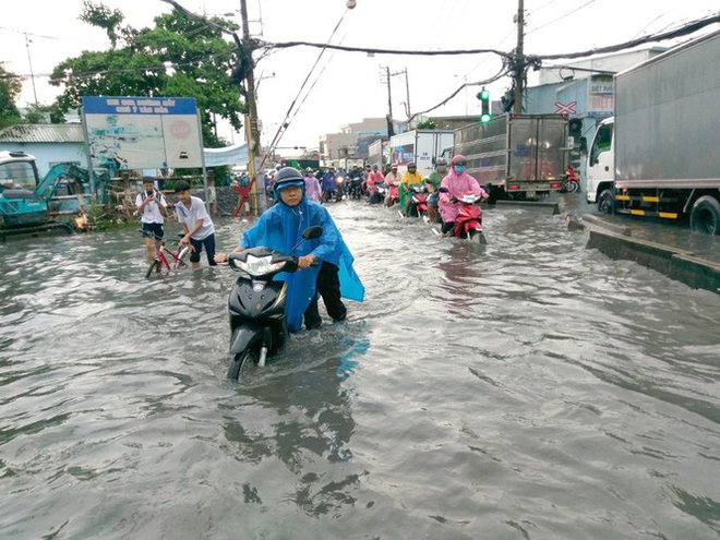 Cây đổ, đường phố Sài Gòn mênh mông nước sau trận mưa cực lớn - Ảnh 2.