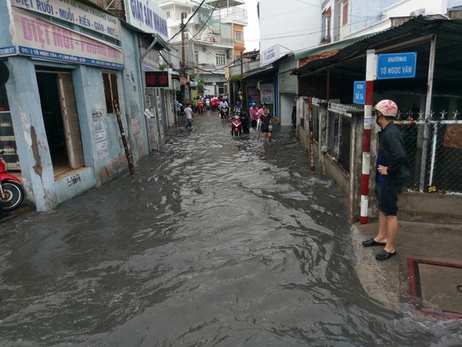 Cây đổ, đường phố Sài Gòn mênh mông nước sau trận mưa cực lớn - Ảnh 3.