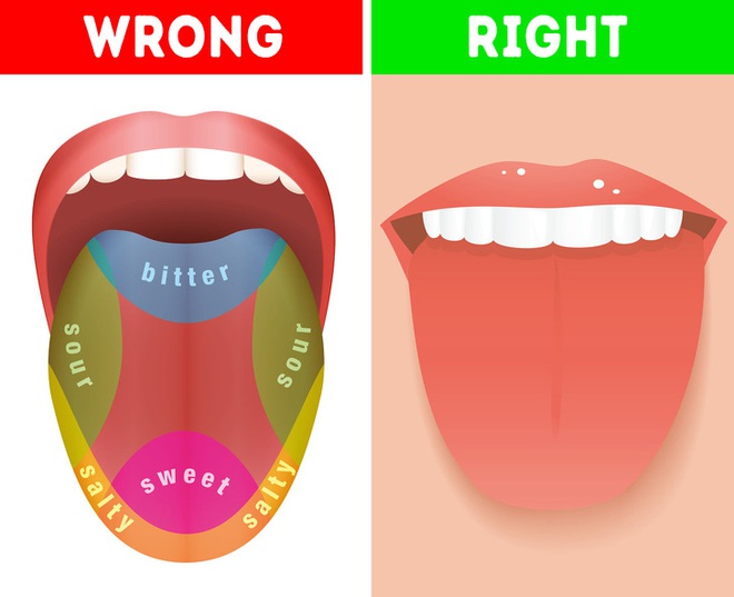 8 quan niệm rất sai nhưng lại ăn rất sâu vào ý thức của nhân loại, thậm chí còn từng được đưa vào sách giáo khoa - Ảnh 5.