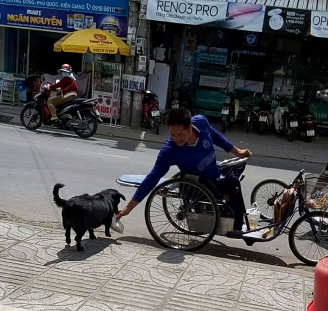 “Rụng tim” với chú chó xoáy Phú Quốc thay chủ tật nguyền xếp hàng nhận gạo  - Ảnh 4.