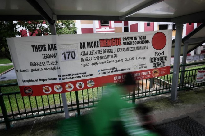 Đứng trước cơn sóng thần bệnh nhân Covid-19, Singapore đã ứng phó ra sao để duy trì tỷ lệ tử vong thấp? - Ảnh 5.