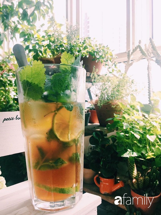 Thu&ecirc; căn hộ c&oacute; diện t&iacute;ch 150m&sup2;, c&ocirc; g&aacute;i ở S&agrave;i th&agrave;nh chơi lớn tạo ngay g&oacute;c chill trong ph&ograve;ng kh&aacute;ch với v&agrave;i chục chậu c&acirc;y xanh lớn nhỏ - Ảnh 7.