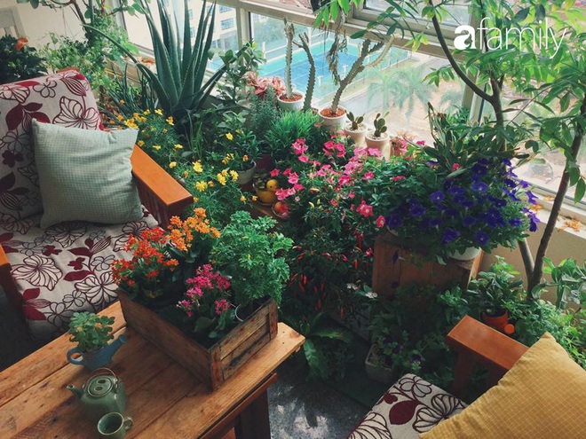 Thu&ecirc; căn hộ c&oacute; diện t&iacute;ch 150m&sup2;, c&ocirc; g&aacute;i ở S&agrave;i th&agrave;nh chơi lớn tạo ngay g&oacute;c chill trong ph&ograve;ng kh&aacute;ch với v&agrave;i chục chậu c&acirc;y xanh lớn nhỏ - Ảnh 3.