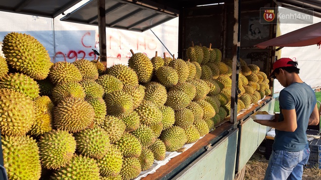 Sầu riêng bao ăn chất đống khắp vỉa hè Sài Gòn với giá siêu rẻ chỉ 50.000 đồng/kg: Gặp hạn mặn nên bán được đồng nào hay đồng đó! - Ảnh 11.