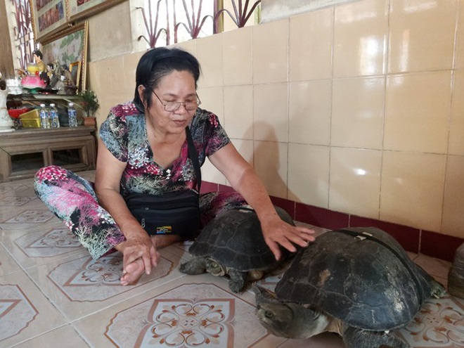 Kỳ lạ cụ r&ugrave;a hơn trăm tuổi ở miền T&acirc;y biết... nghe kinh, ăn chay v&agrave; giữ cửa - Ảnh 2.