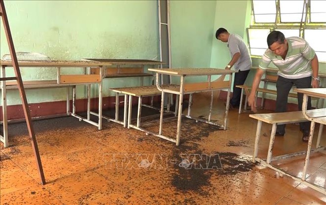 Bọ đậu đen tấn công trường học ở Bình Phước - Ảnh 3.