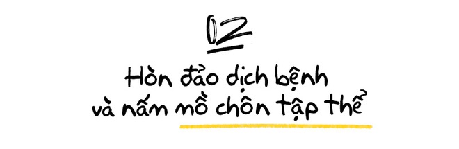 Nước Mỹ giữa lằn ranh sự sống và cái chết: Vượt qua Đại thảm họa là hơn 100.000 sinh mạng đã vĩnh viễn ra đi - Ảnh 7.