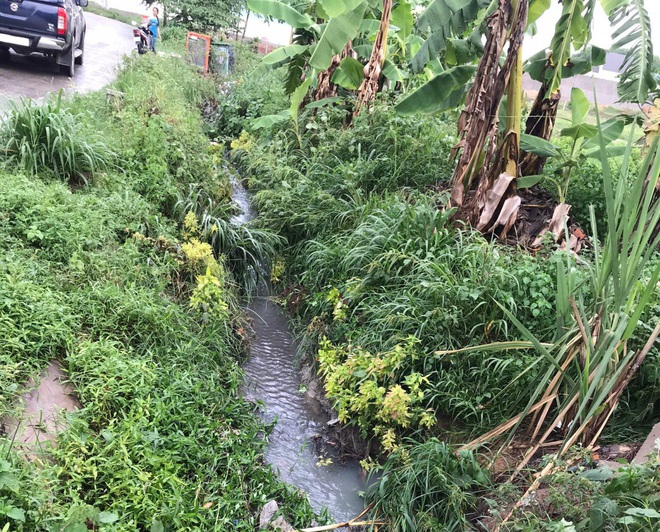 B&igrave;nh Dương: Th&ecirc;m một b&eacute; trai 4 tuổi tử vong thương t&acirc;m v&igrave; lọt xuống cống khi tắm mưa - Ảnh 1.