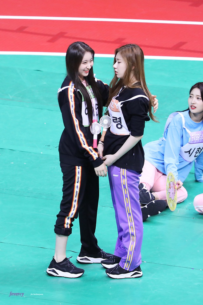 Những cặp anh chị em ruột debut trong c&ugrave;ng một c&ocirc;ng ty quản l&yacute;: Người sự nghiệp vẫn nở hoa, kẻ chuyển ngạch sang hẳn lĩnh vực kh&aacute;c - Ảnh 4.