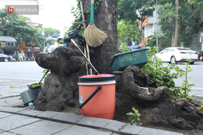 Ảnh: Cận cảnh hàng loạt cây xanh mục gốc, ngả hướng ra giữa đường ở Hà Nội - Ảnh 9.