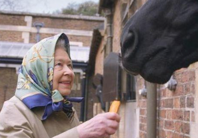 Diet menu and tips to stay healthy "affordable price" Helping Queen Elizabeth II at the age of 94 remain youthful and healthy - Photo 5.