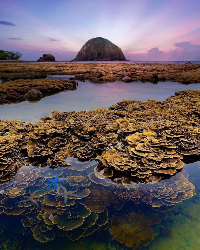 Mấy ai biết Việt Nam có một hòn đảo san hô với vẻ đẹp “siêu thực” thế này, xem ảnh mà cứ ngỡ đâu nước ngoài xa xôi - Ảnh 12.