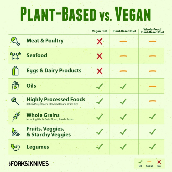 Plant-based diet: Chế độ ăn thực vật đang được vợ chồng nhà Tóc Tiên, Hoàng Touliver theo đuổi có gì hot? - Ảnh 6.