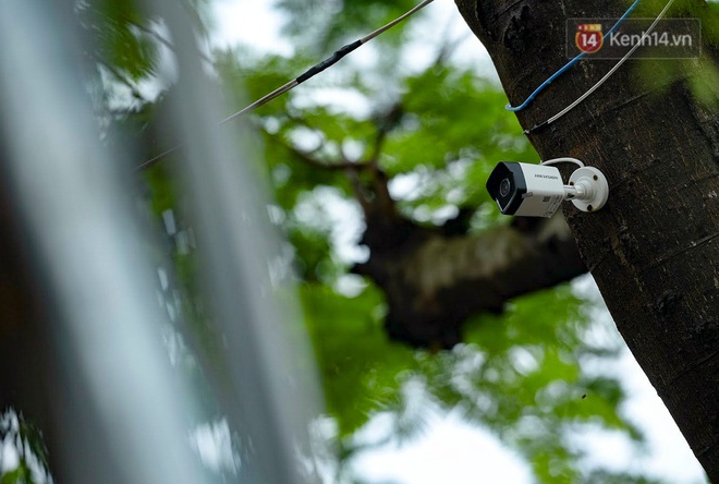 Hàng cây sưa đỏ trên đường Nguyễn Văn Huyên được “mặc áo giáp”, lắp camera theo dõi để chống trộm - Ảnh 5.