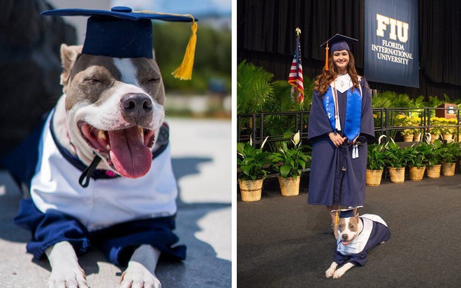 Đi học đều hơn cả sen, chú chó được trường đại học trao bằng cử nhân - Ảnh 2.