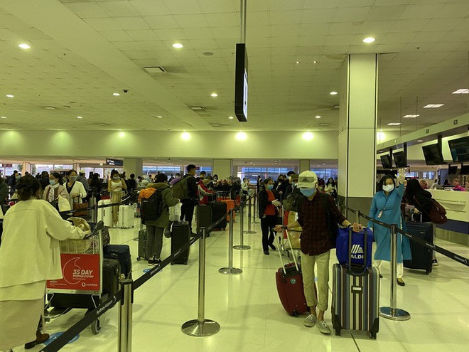 Đưa 344 c&ocirc;ng d&acirc;n Việt Nam từ &Uacute;c v&agrave; New Zealand về nước tại T&acirc;n Sơn Nhất  - Ảnh 1.