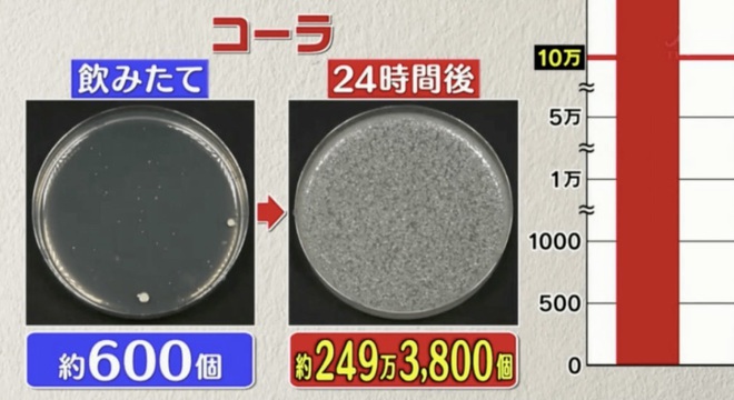 Đài TBS Nhật thử nghiệm 6 loại nước phổ biến sau 24 giờ ở nhiệt độ phòng: Vi khuẩn trong cà phê sữa tăng gấp 8000 lần, trong trà xanh không tăng còn giảm - Ảnh 6.