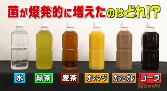 Đài TBS Nhật thử nghiệm 6 loại nước phổ biến sau 24 giờ ở nhiệt độ phòng: Vi khuẩn trong cà phê sữa tăng gấp 8000 lần, trong trà xanh không tăng còn giảm - Ảnh 2.