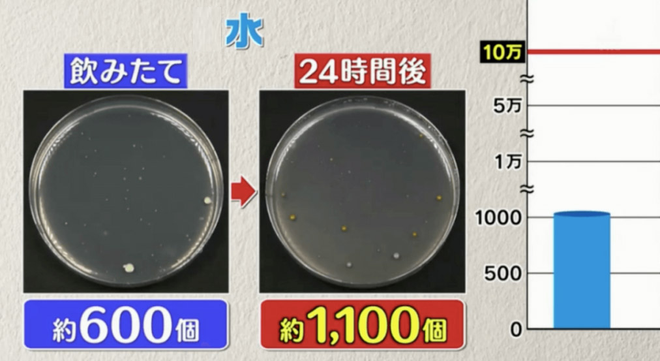 Đài TBS Nhật thử nghiệm 6 loại nước phổ biến sau 24 giờ ở nhiệt độ phòng: Vi khuẩn trong cà phê sữa tăng gấp 8000 lần, trong trà xanh không tăng còn giảm - Ảnh 8.