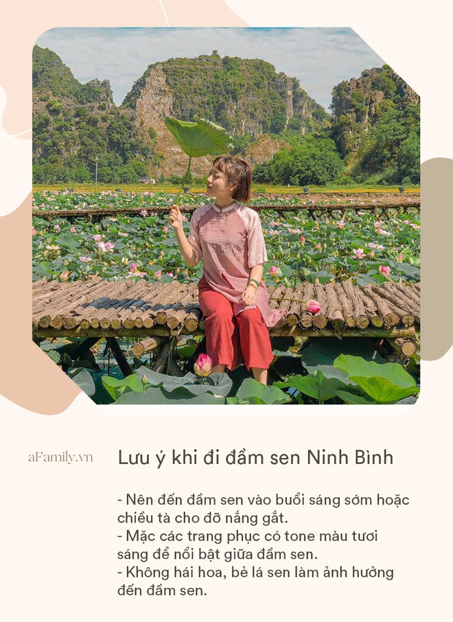 Đầm sen Ninh Bình nở rộ đẹp rực rỡ, hội chị em nhanh nhanh chuẩn bị váy áo xúng xính để chụp ảnh thôi nào  - Ảnh 8.