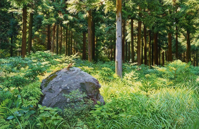 Hình ảnh cánh rừng xanh ngát xanh đem lại cảm giác yên bình khó tả nhưng ẩn chứa đằng sau đó là sự thật khó tin - Ảnh 5.
