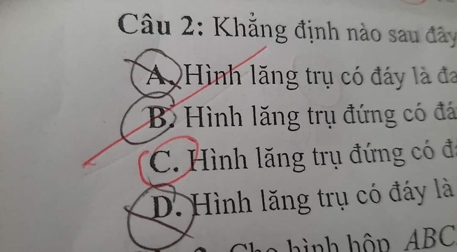 Học trò thiếu nghị lực nhất năm: Khoanh tới khoanh lui trắc nghiệm vẫn sai trật lất! - Ảnh 2.