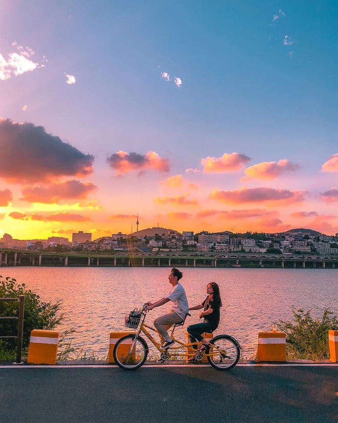 Tình yêu giống như trồng hoa, lần đầu hết lòng chăm chút nhưng kết cục là... hỏng bét! - Ảnh 2.